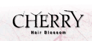 e`F[ Cherry Hair Blossom